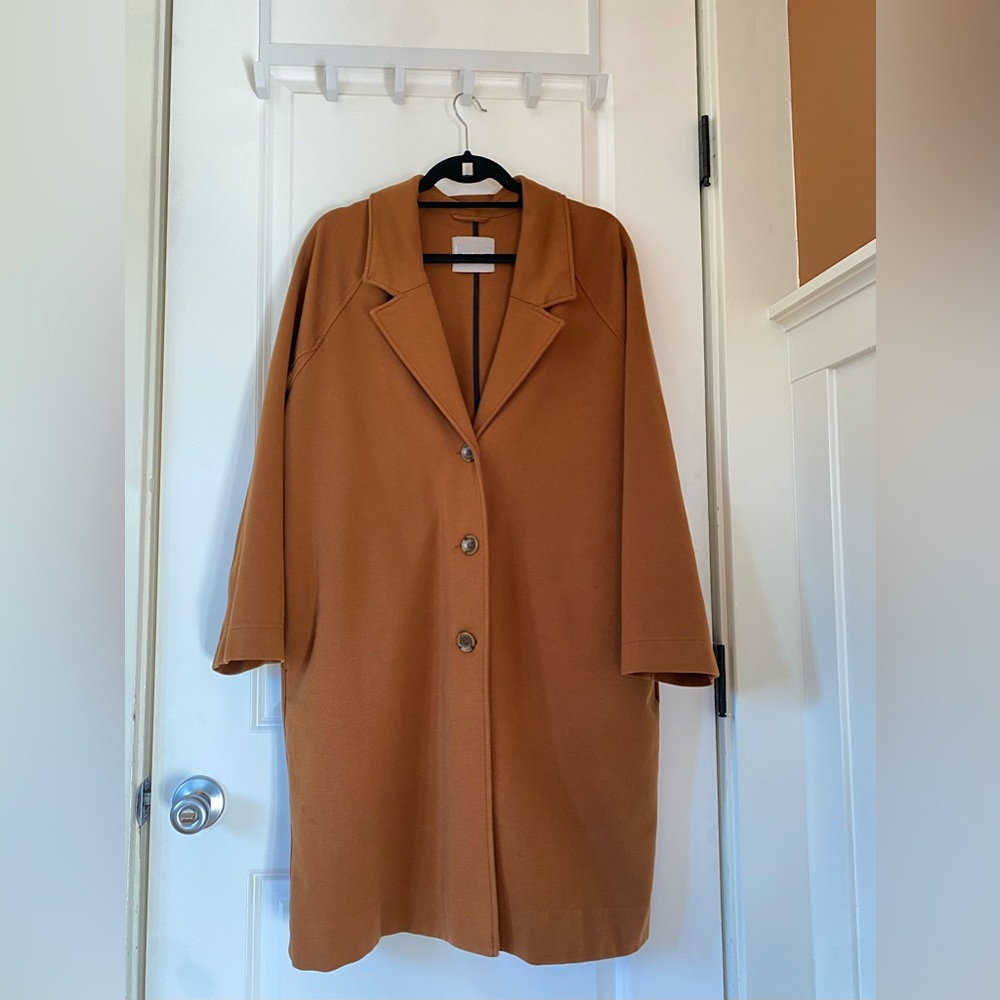 Everlane Dream Coat